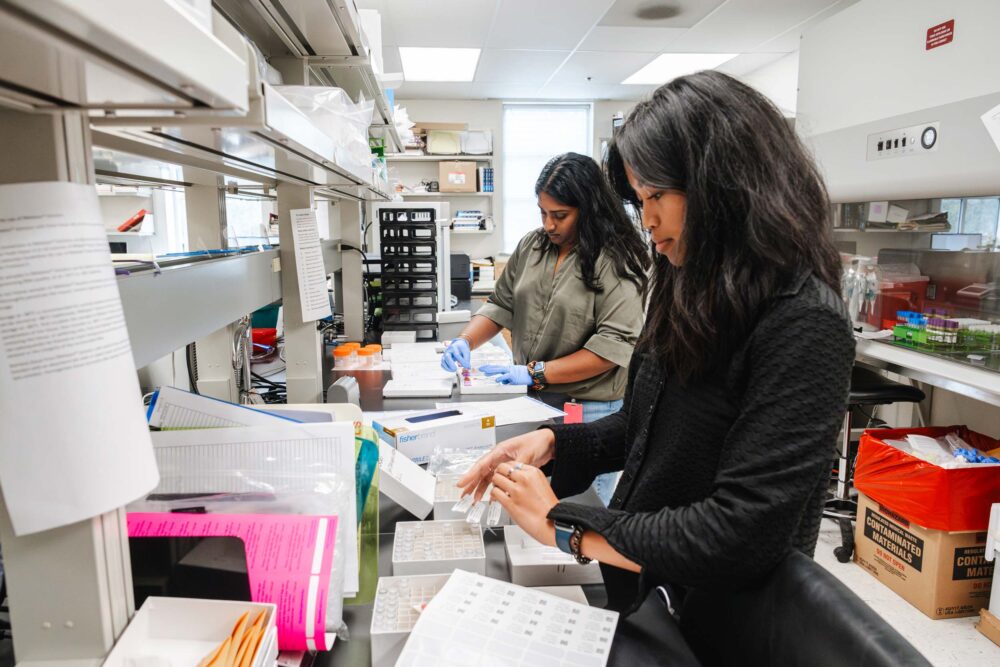 Lab specialists work with samples for colorectal cancer research.